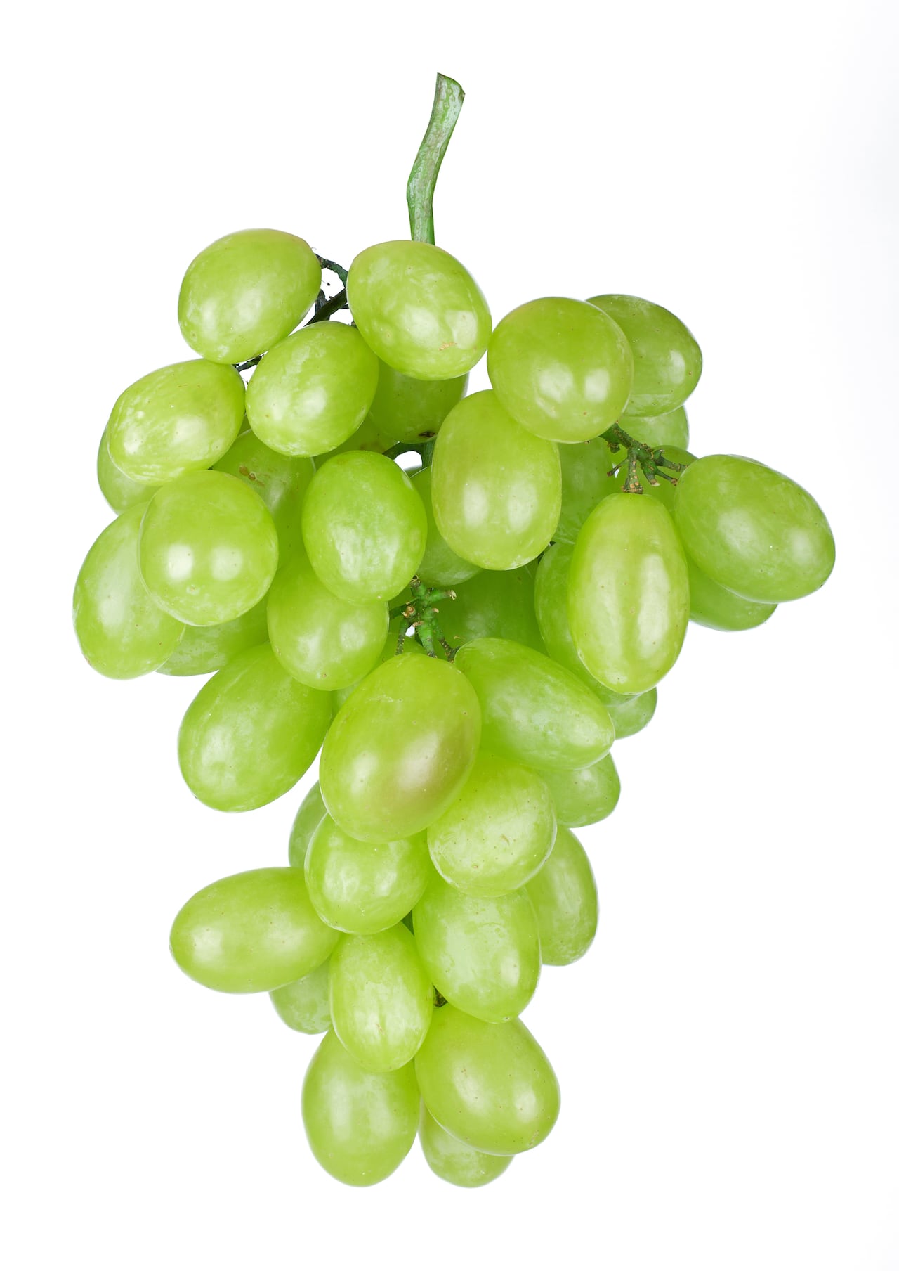 Uvas verdes