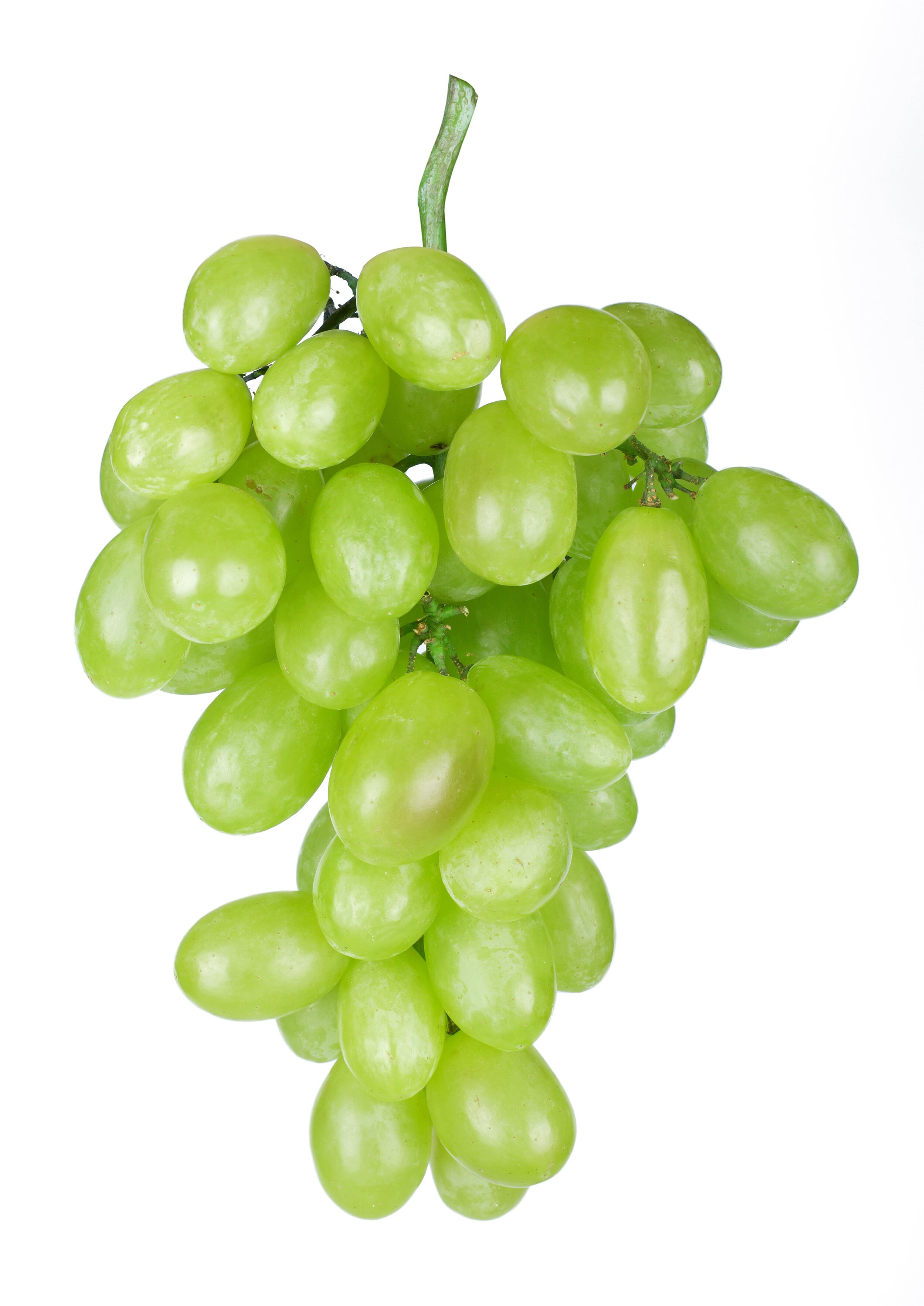 Uvas verdes