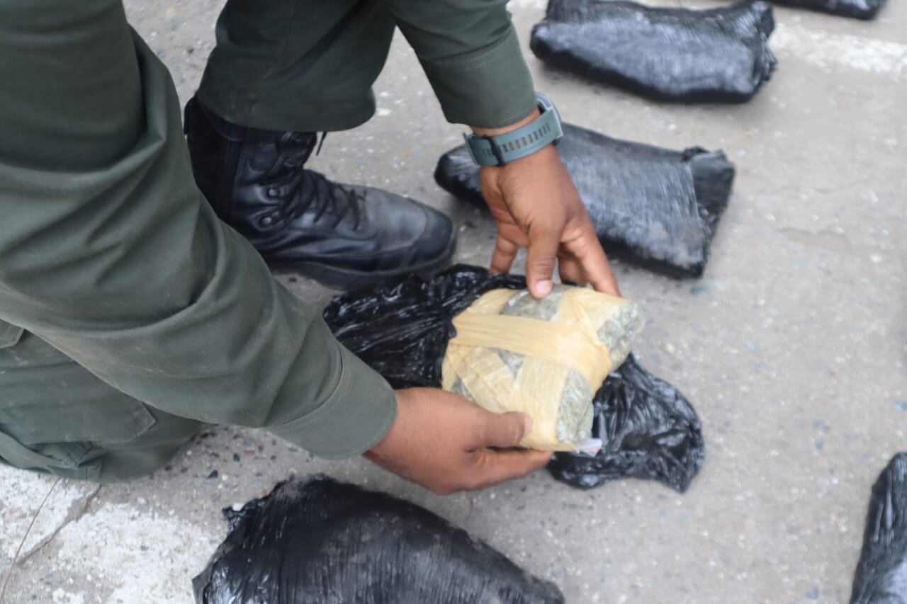 Incautan marihuana en el Valle del Cauca.