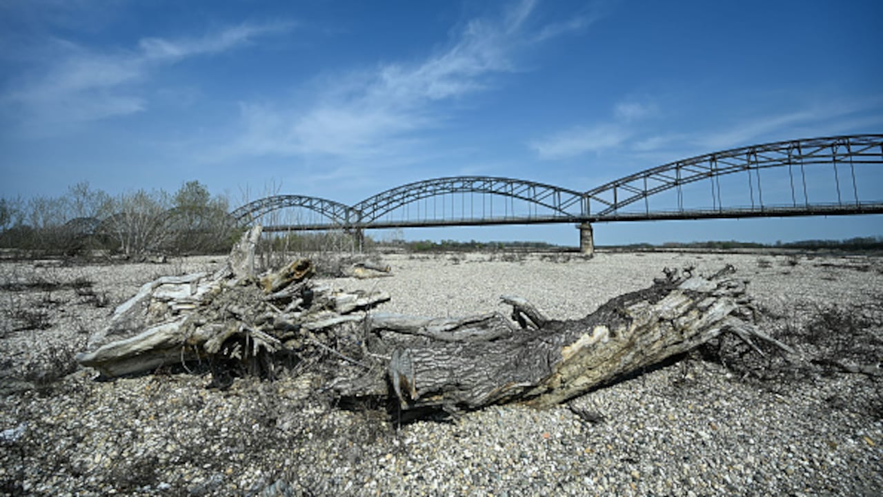 Una vista de árboles secos en el lecho del río Po, el río más largo de Italia, registró los niveles más bajos en comparación con años anteriores. La imagen fue capturada en marzo de 2023.