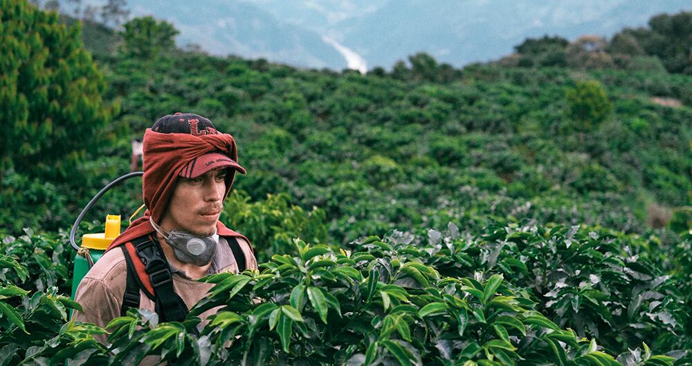 Regresa la cultura masiva_4