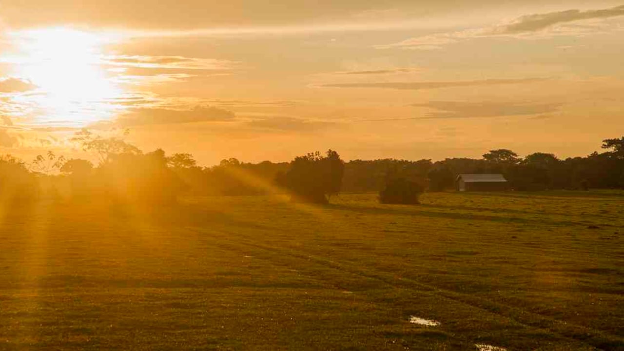 Los atardeceres en Casanare son uno de los mayores atractivos para los turistas. Foto: Pilar Mejía