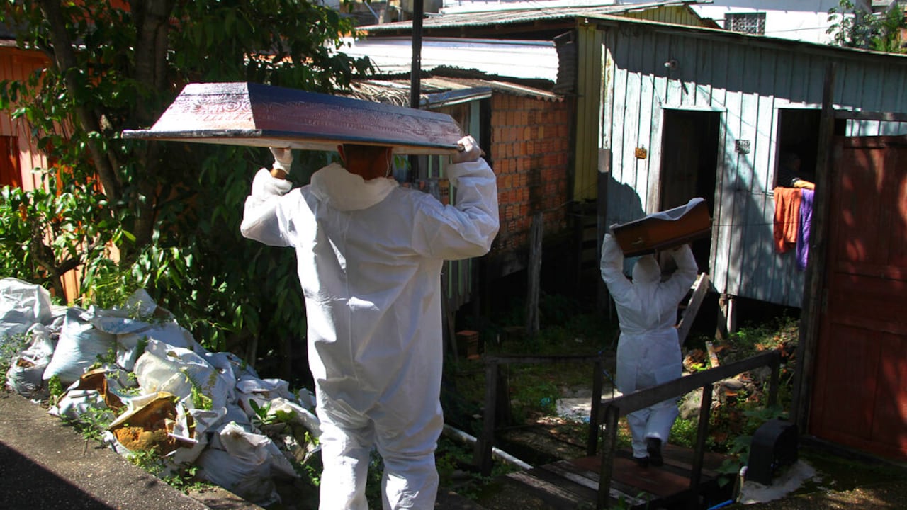 La diferenecia cifras de muertos por coronavirus obedecería a varios factores como la falta de recursos de diagnóstico o notificación, entre otros. (AP Photo/Edmar Barros)