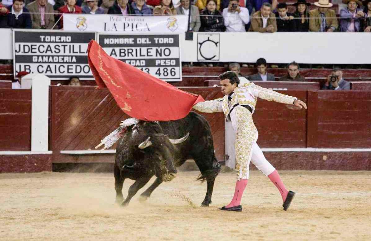 Foto: Diana Rey Melo