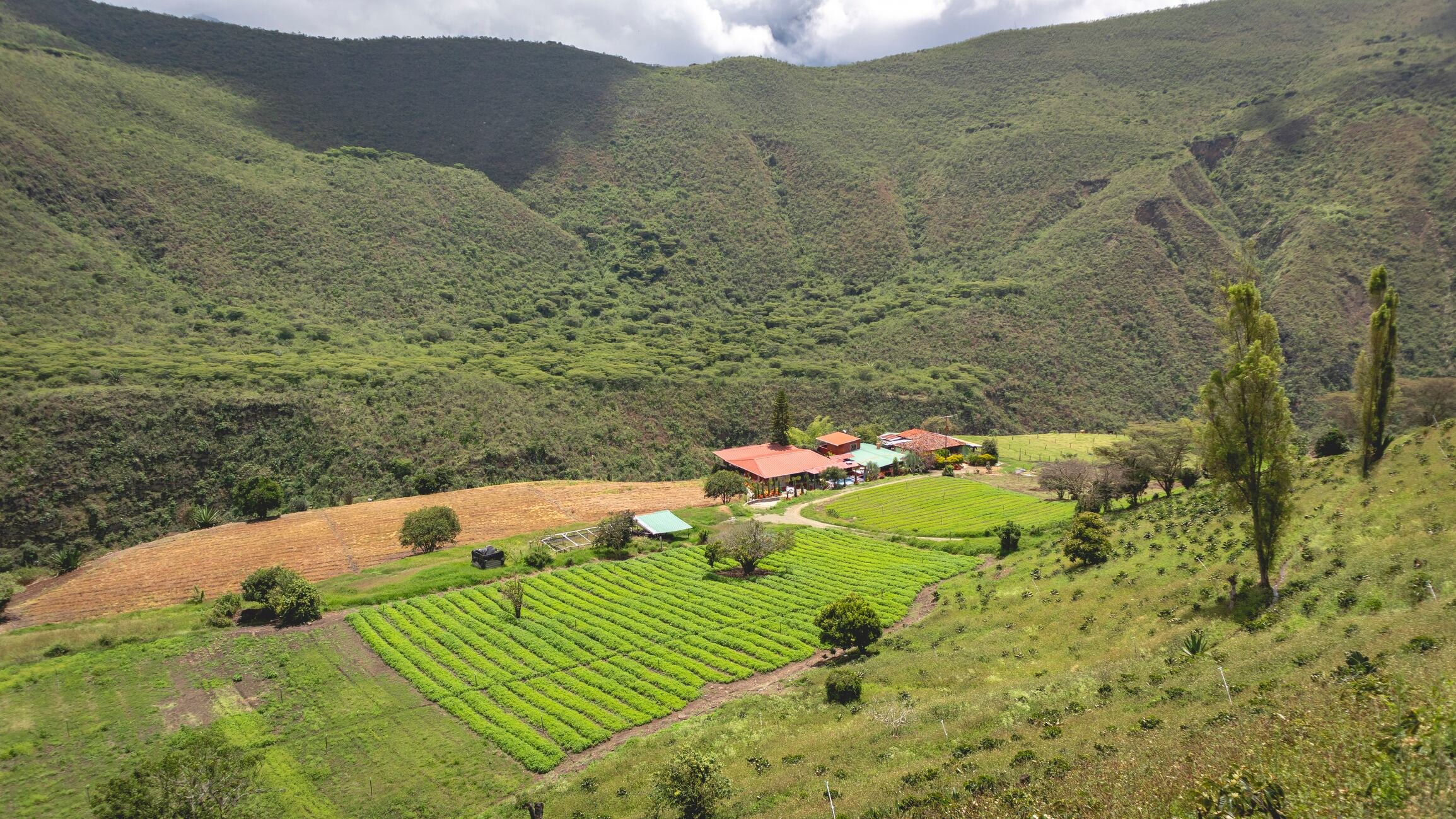 El Cerrito, Valle del Cauca