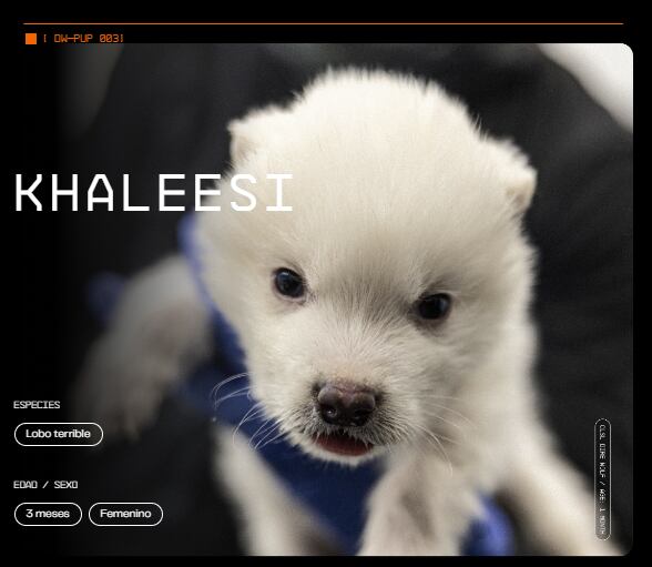 Su existencia combina la ciencia del presente con un linaje perdido hace milenios.