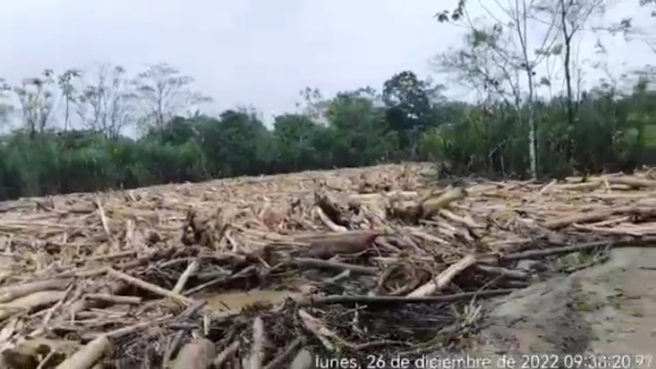 Por ahora, los profesionales evaluarán las medidas inmediatas para atender esta emergencia.