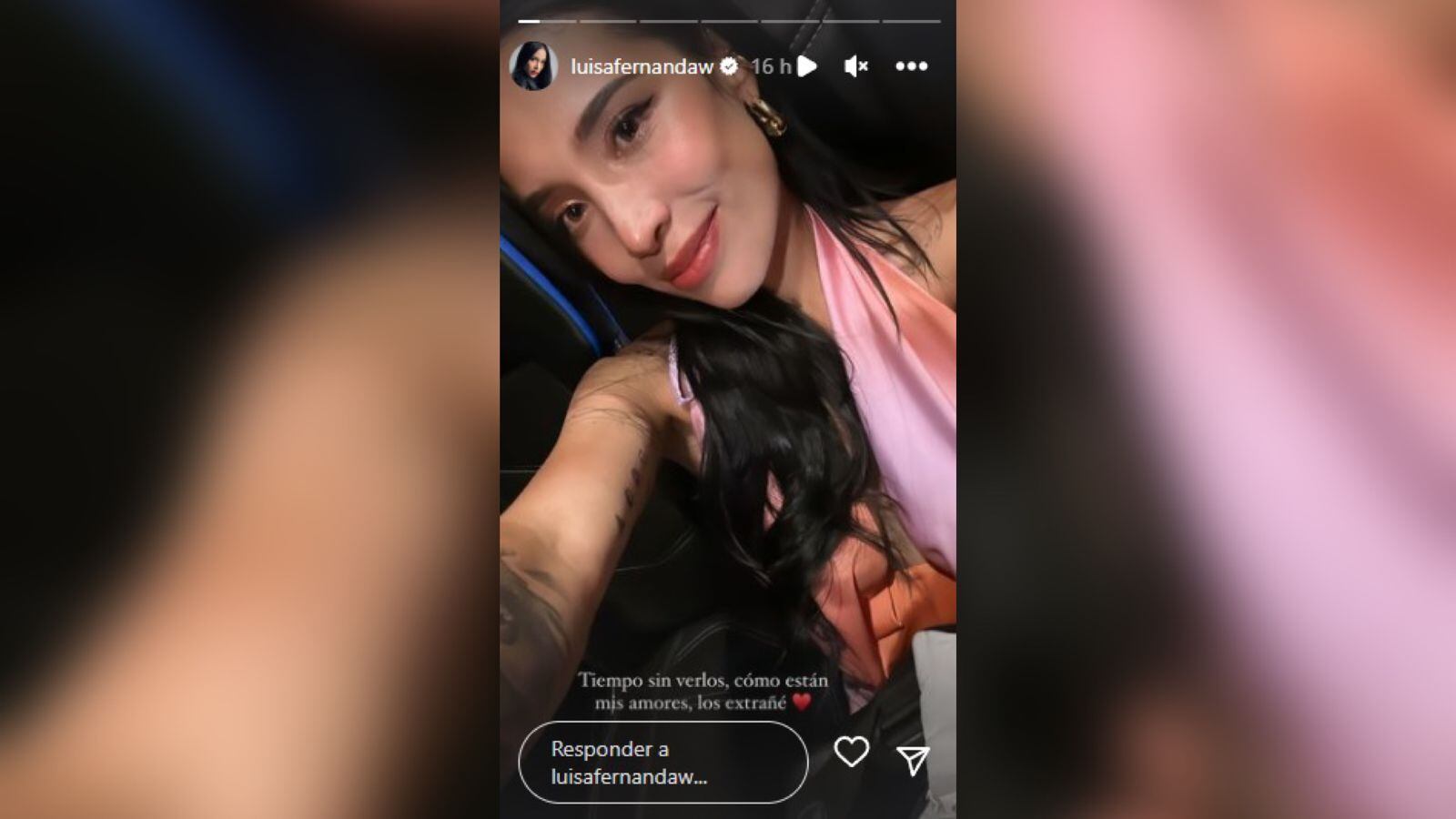Luisa Fernanda W anunció su regreso a redes sociales en una publicación y varias historias.