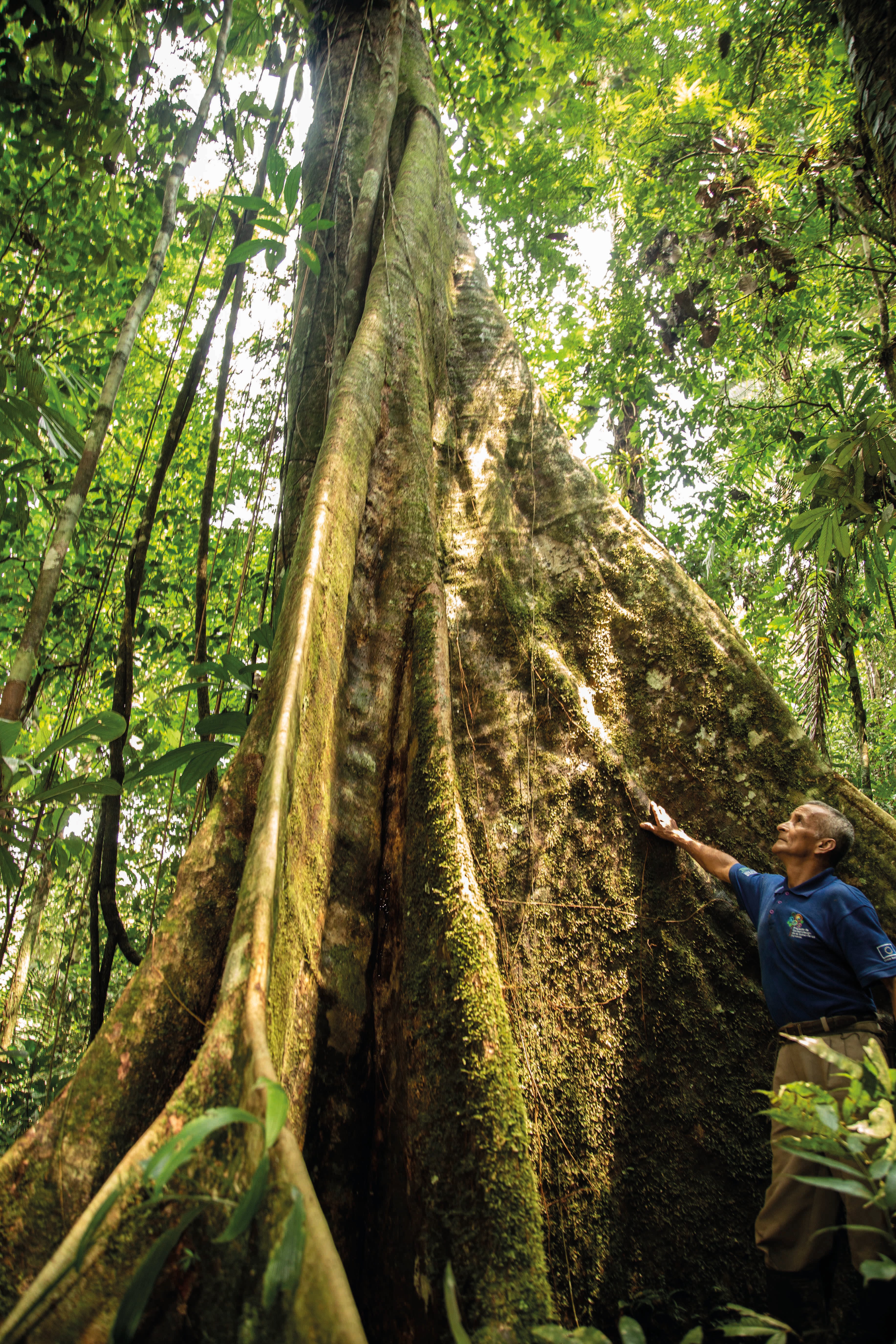 ©Luis Alejandro Hernandez/Conservación Internacional.