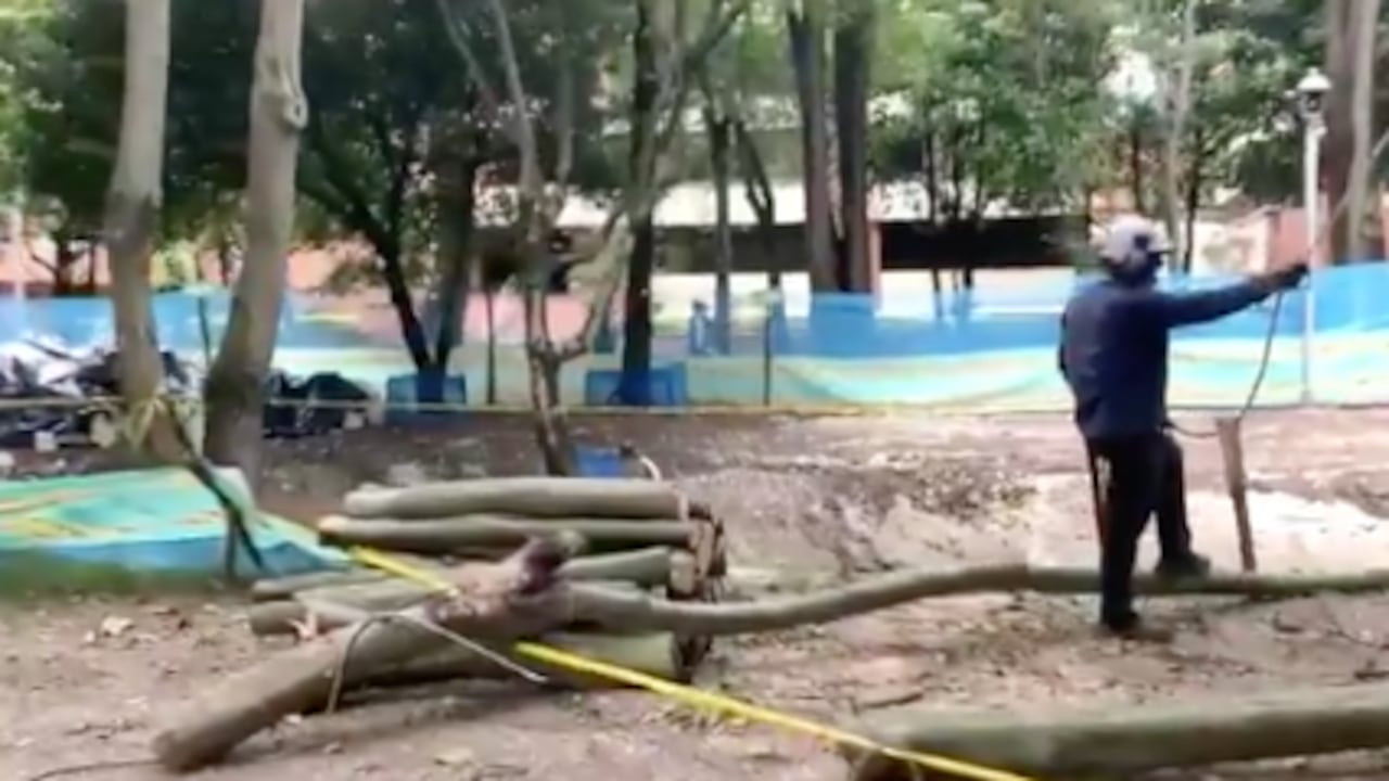 Tala de árboles en el parque El Virrey de Bogotá