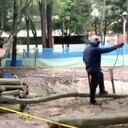 Tala de árboles en el parque El Virrey de Bogotá