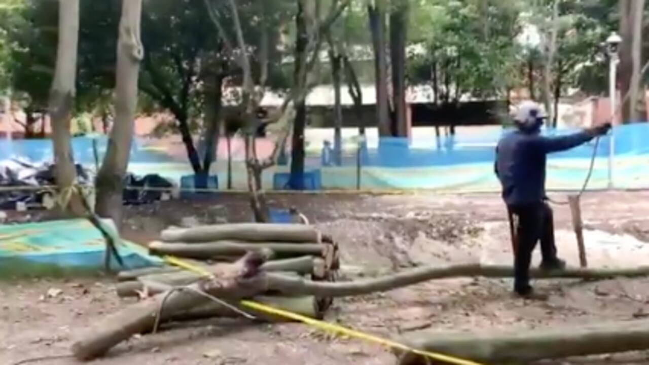 Tala de árboles en el parque El Virrey de Bogotá