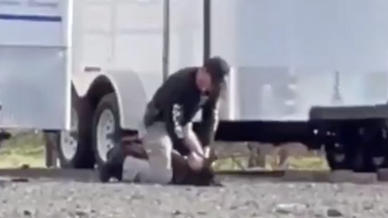 Video dejó en evidencia el violento ataque de un policía a su perro en EE.UU.