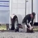 Video dejó en evidencia el violento ataque de un policía a su perro en EE.UU.