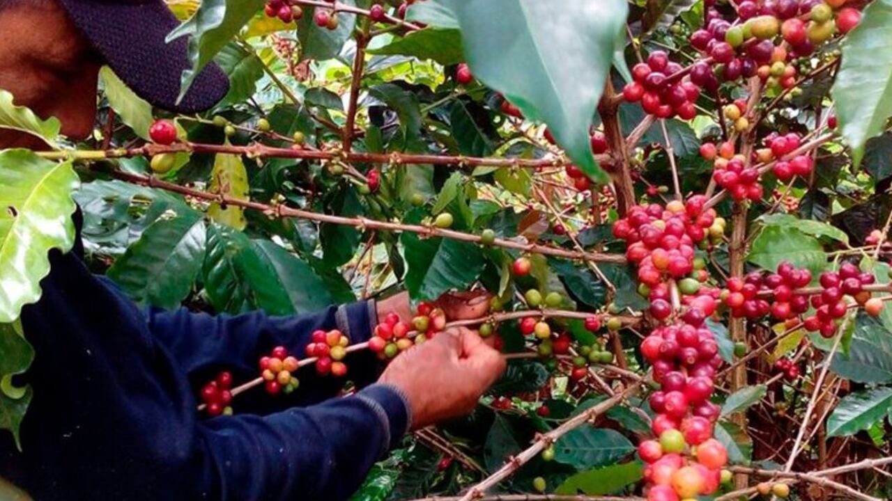 Viotá, Cundinamarca