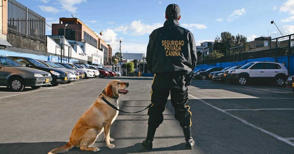 Los trabajadores que brindan servicios de seguridad ahora compiten contra las cámaras con inteligencia artificial. 