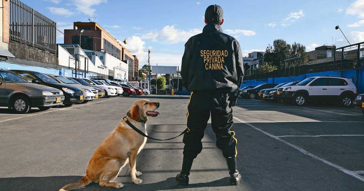 Trabaje en el sector de seguridad: postúlese como vigilante en diversas empresas a nivel nacional.