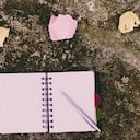 Con el proyecto se busca combatir la deserción escolar, si no otros fenómenos como el trabajo infantil, la explotación sexual o el reclutamiento forzado.