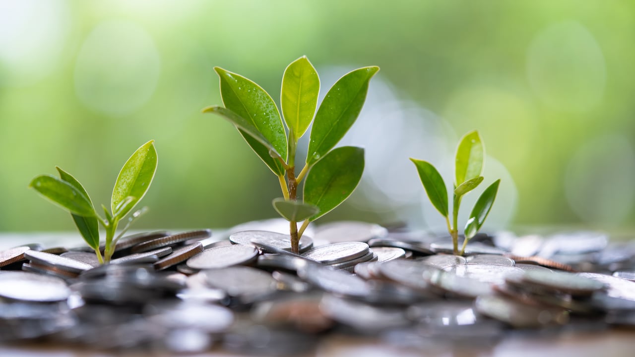 Las empresas más grandes de Colombia destinaron cerca de $19 billones a iniciativas sociales y ambientales durante 2025.