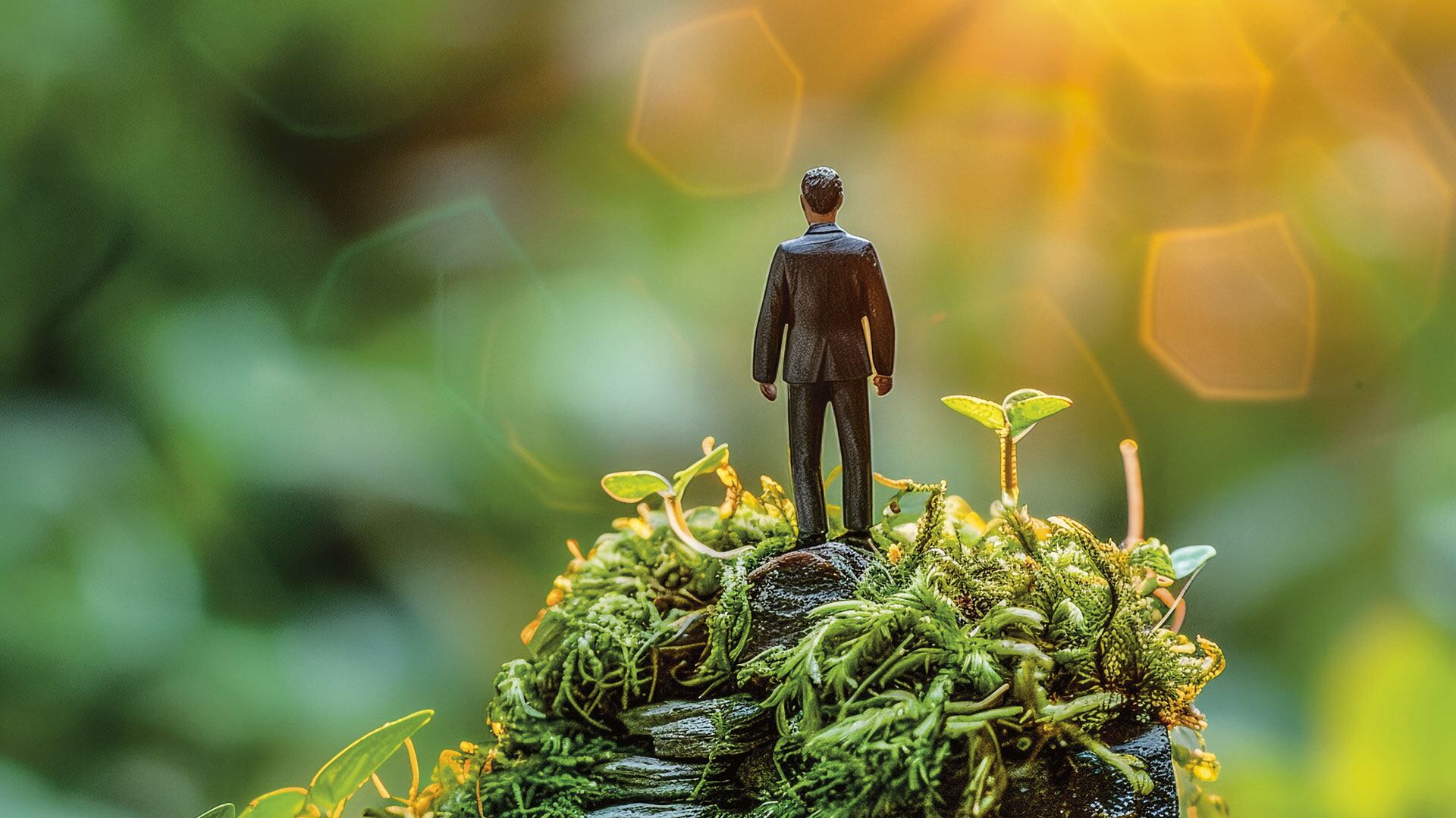 Los líderes de la transformación sostenible en Colombia