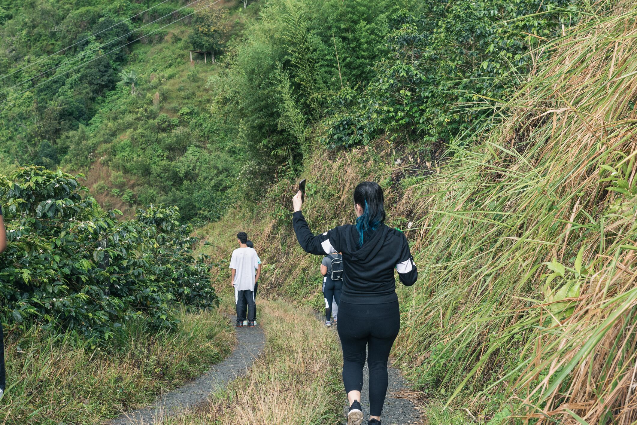 Senderismo Eje Cafetero