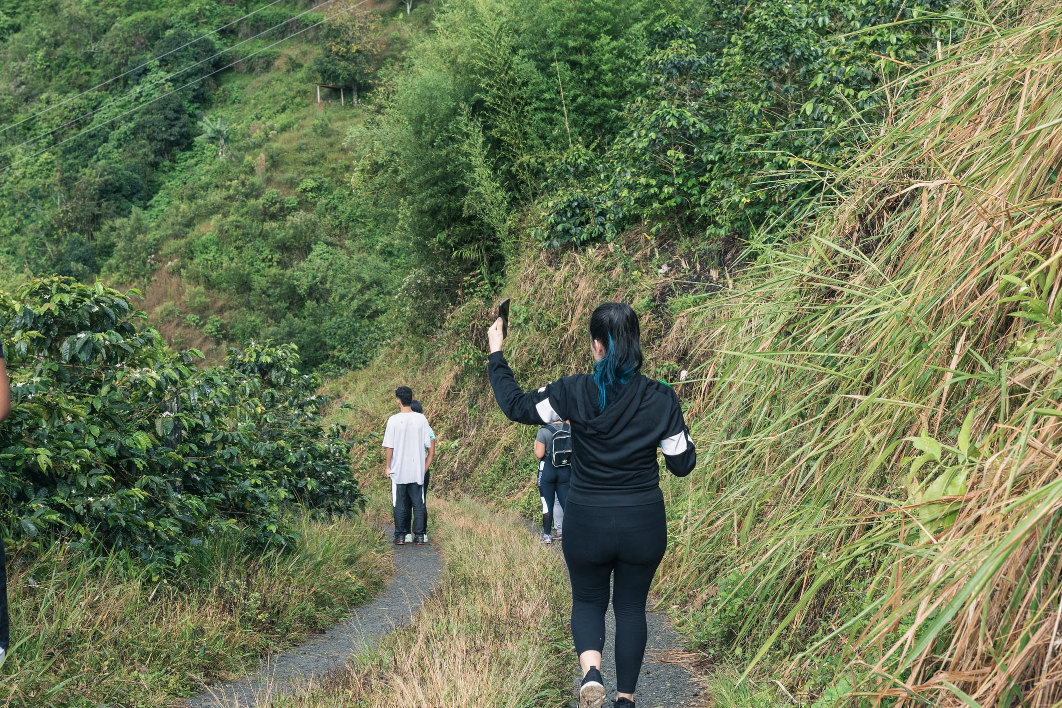 Senderismo Eje Cafetero