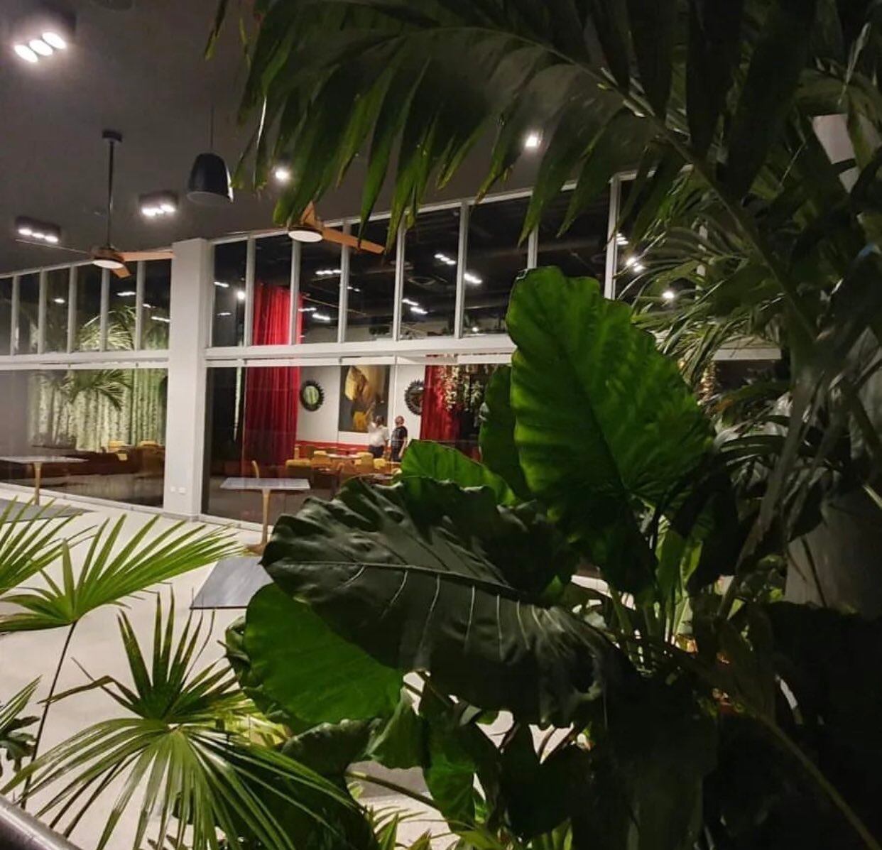 El lugar está rodeado de plantas