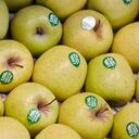 Manzanas con etiquetas