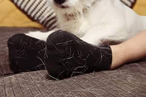 Hay trucos caseros para quitar la pelusa de la ropa.