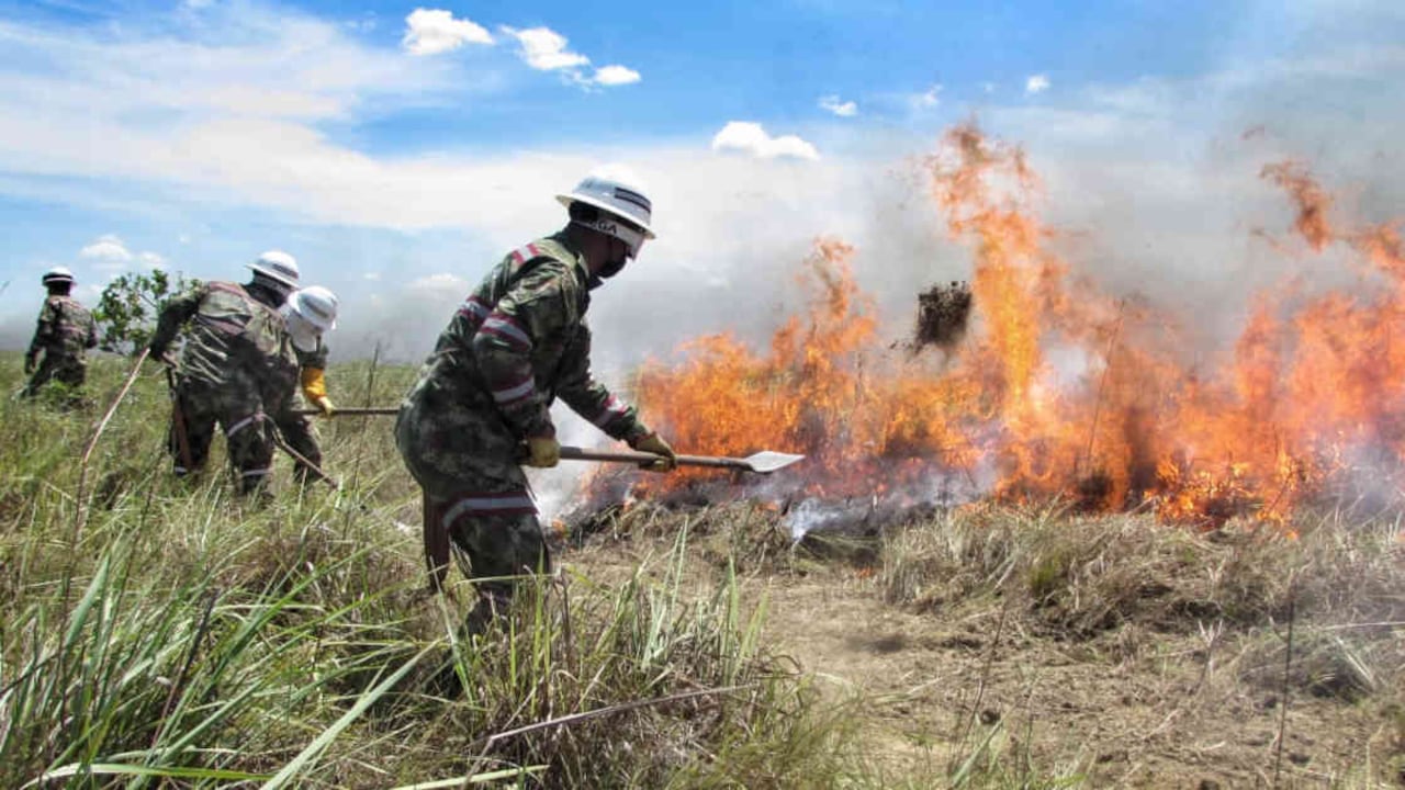 Más de 80 personas trabajaron en campo para sofocar las llamas del incendio que se registró en el Parque Nacional El Tuparro. Foto: Ejército Nacional - Colombia hoy.