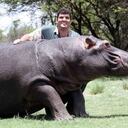 Twitter:@dodomenoestupid (API)