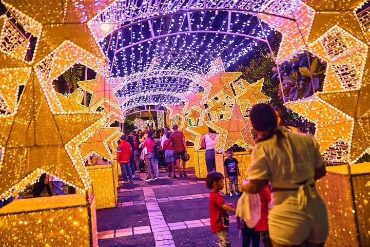 Alumbrados de Palmira 2025.