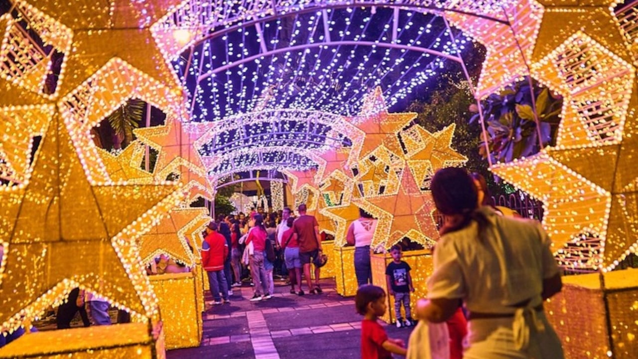 Alumbrados de Palmira 2025.