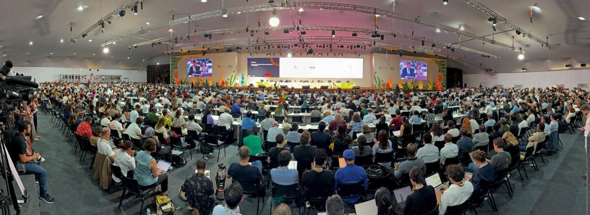 COP30 mantiene la lucha climática