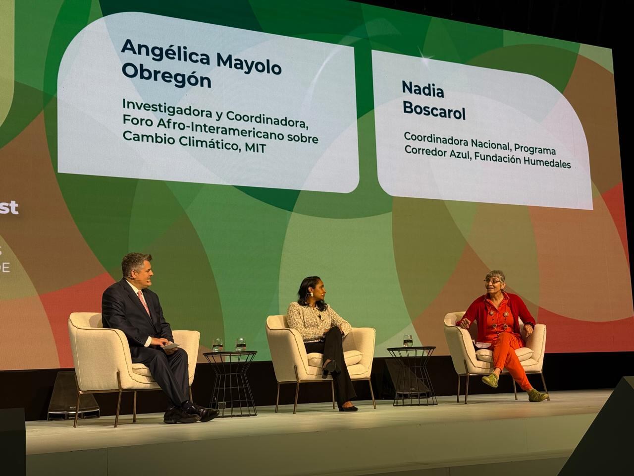 Exministra de Cultura Angélica Mayolo en el panel del BID en Chile.