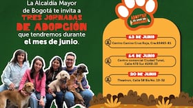 Puntos de atención en Bogotá para las jornadas de adopción de perros y gatos rescatados durante el mes de junio.