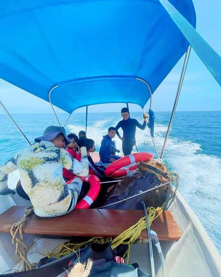 Pez Mero de 300 kilos atrapado en el Atlántico