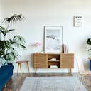 Hay diversos trucos para hacer que las plantas de interiores crezcan y se fortalezcan.