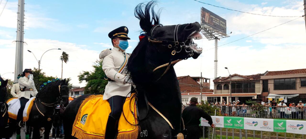 Desfile 20 de julio en Cali.
