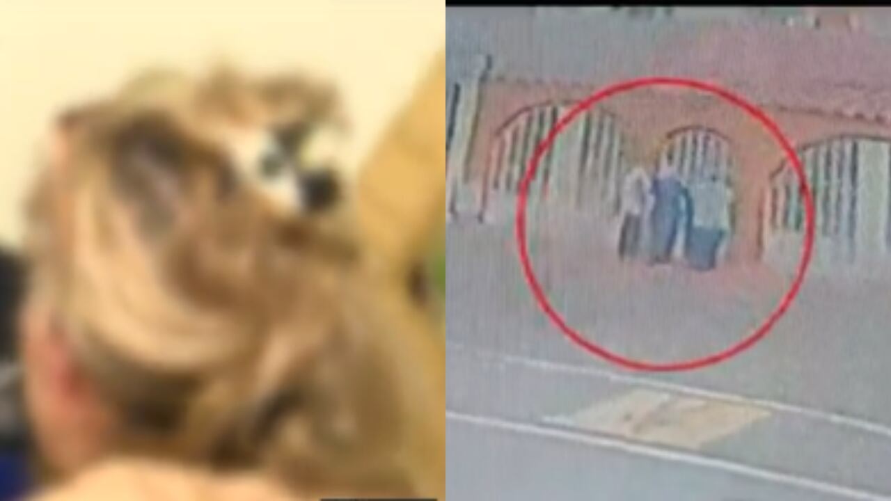 En el círculo rojo, en instante en que los ladrones llegan a la vivienda.