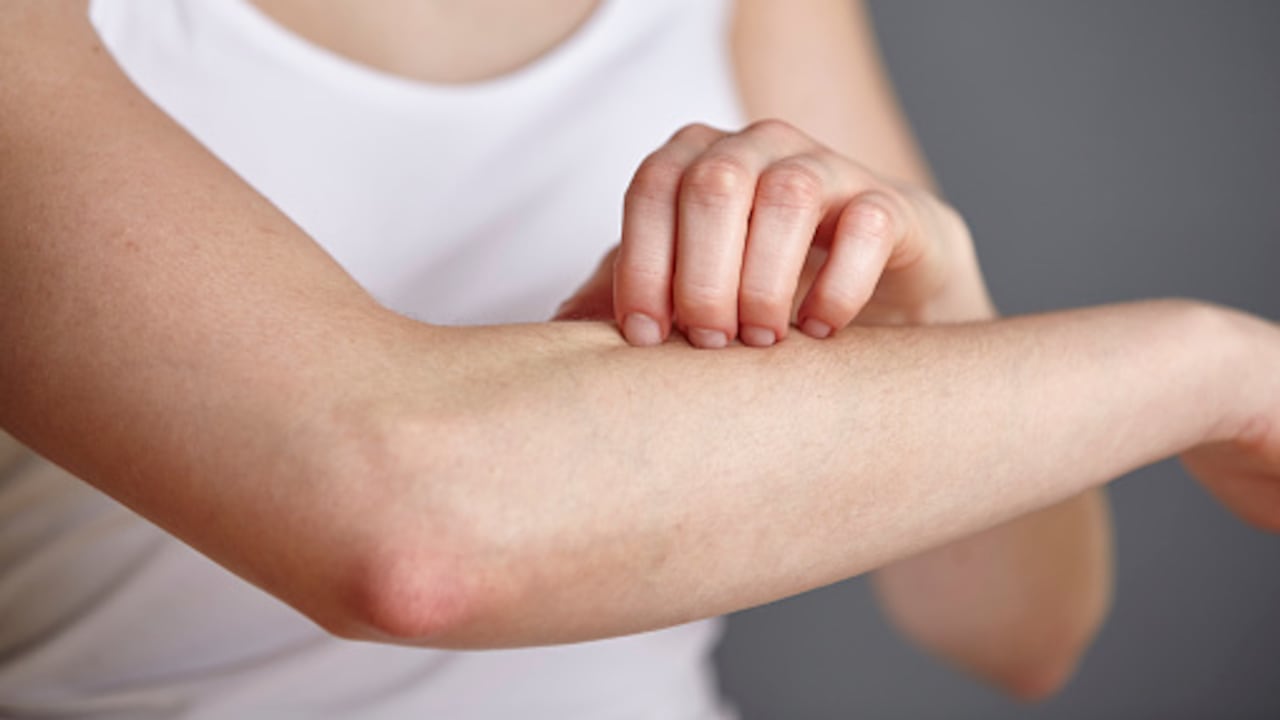 Los brazos son de gran apoyo para el cuerpo