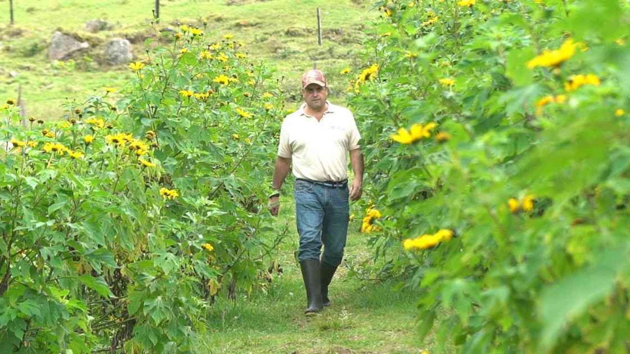 Jorge Bazante, desde hace 10 años decidió cambiar la ganderia extensiva por la conservación del medio ambiente y convirtió su hacienda en el Parque Natural Verde y Agua, en Fusagasugá, Cundinamarca. Foto: Mauricio Calderón.