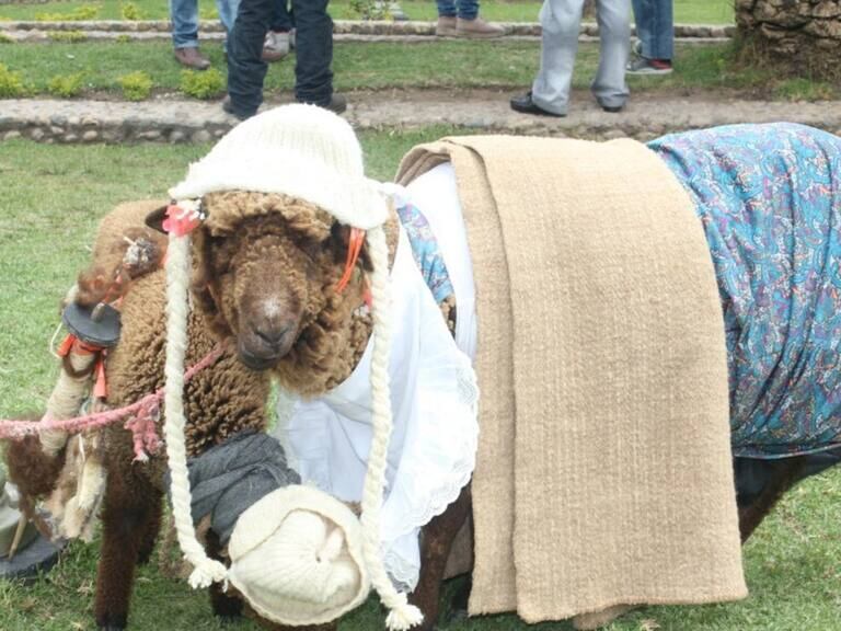 En Nobsa, Boyacá, se celebra el Día Mundial de la Ruana.