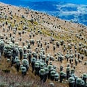 El Páramo de Ocetá es uno de los lugares naturales más llamativos de Boyacá.