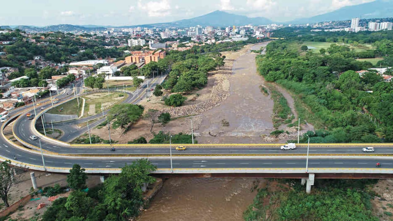 El río Pamplonita es el hogar de la nutria neotropical. Su hábitat se conserva gracias al trabajo de Corponor.