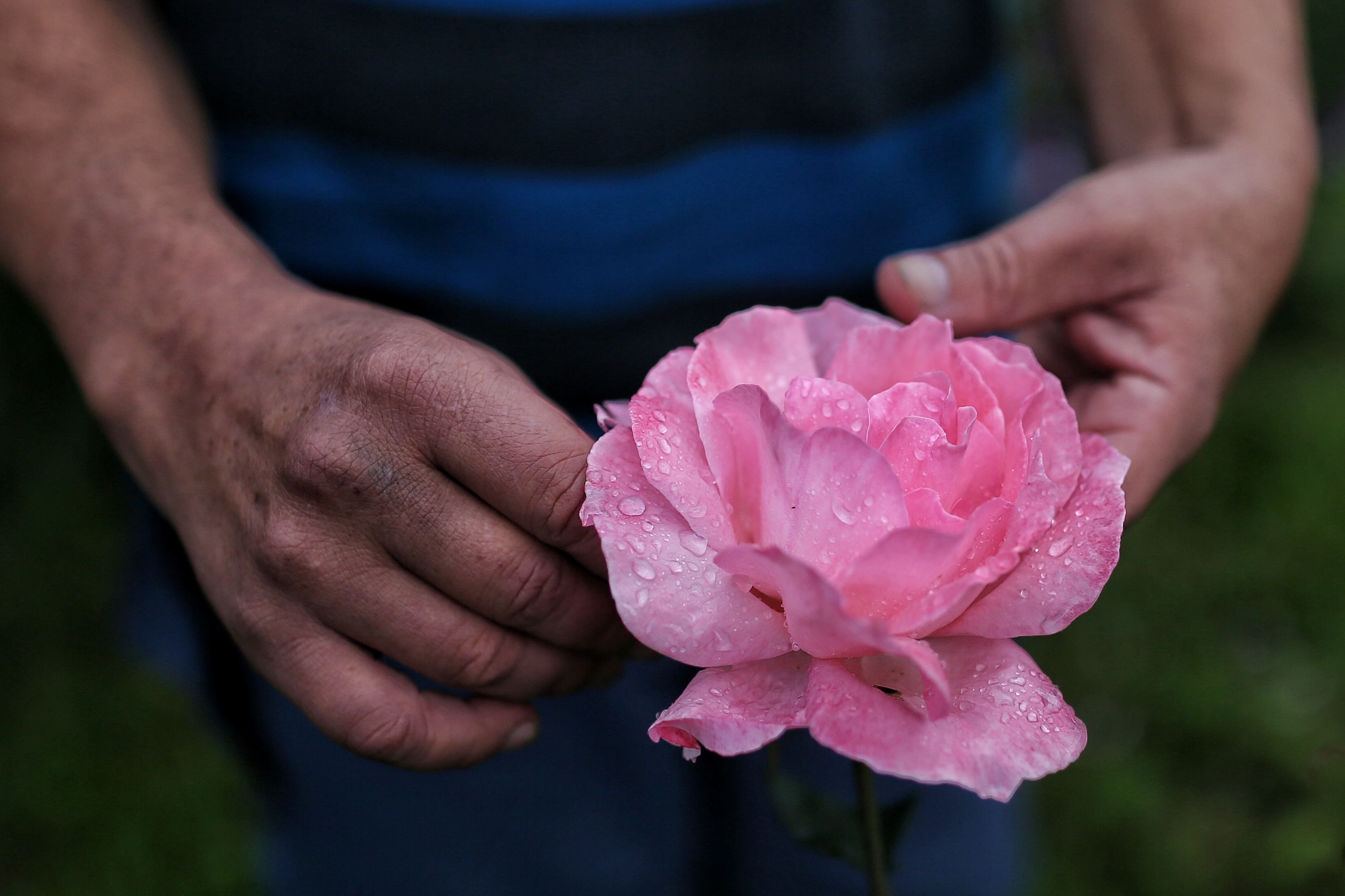 Sargento Gilberto Ávila Llano 
Eutanasia Glifosato