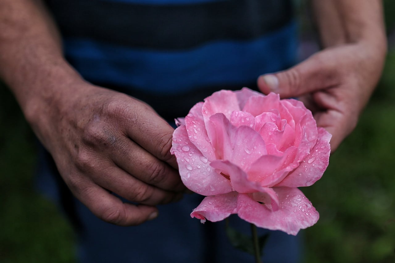 Sargento Gilberto Ávila Llano
Eutanasia Glifosato