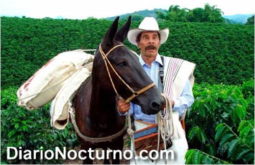 Imagen aparecida hace unas semanas, tras la posesión del nuevo símbolo cafetero colombiano. La última que entró en la selección de "ramones impostores" y uno de los aportes invaluables de diarionocturno.com a esta galería.
