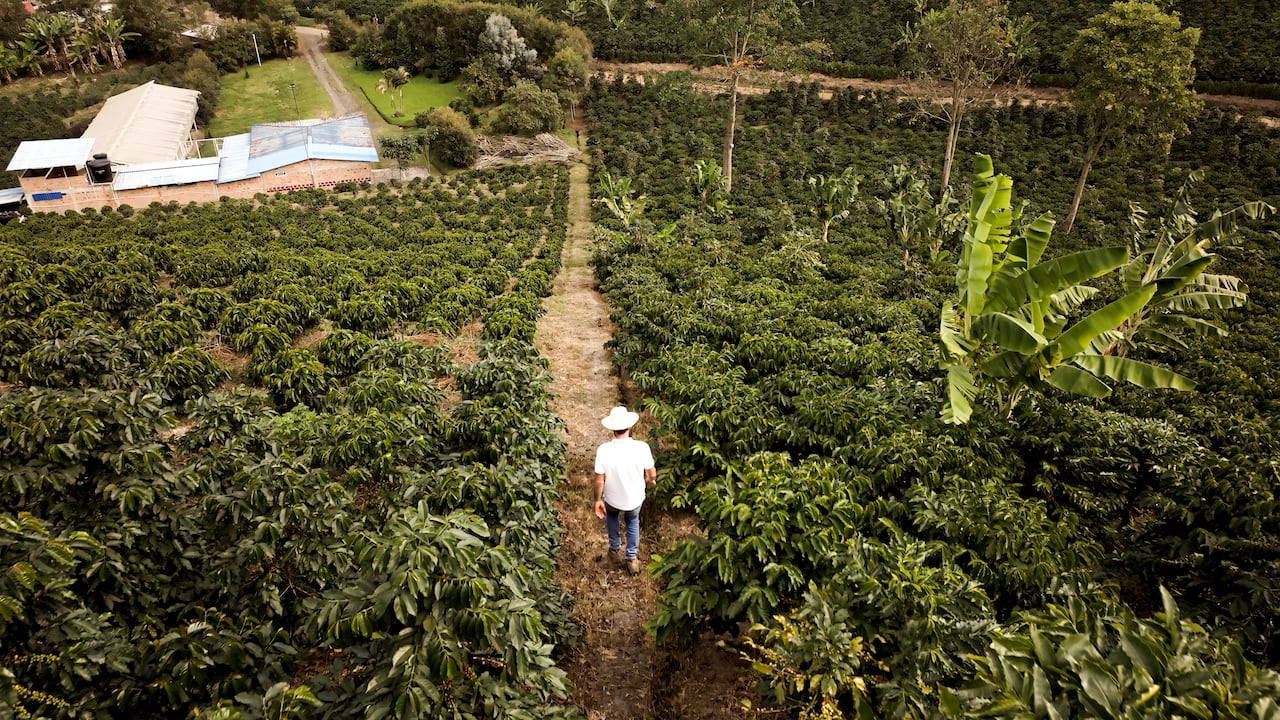 De acuerdo con su nivel de preparación, las empresas podrán acceder a oportunidades de financiación de impacto entre USD 50.000 y USD 250.000.
