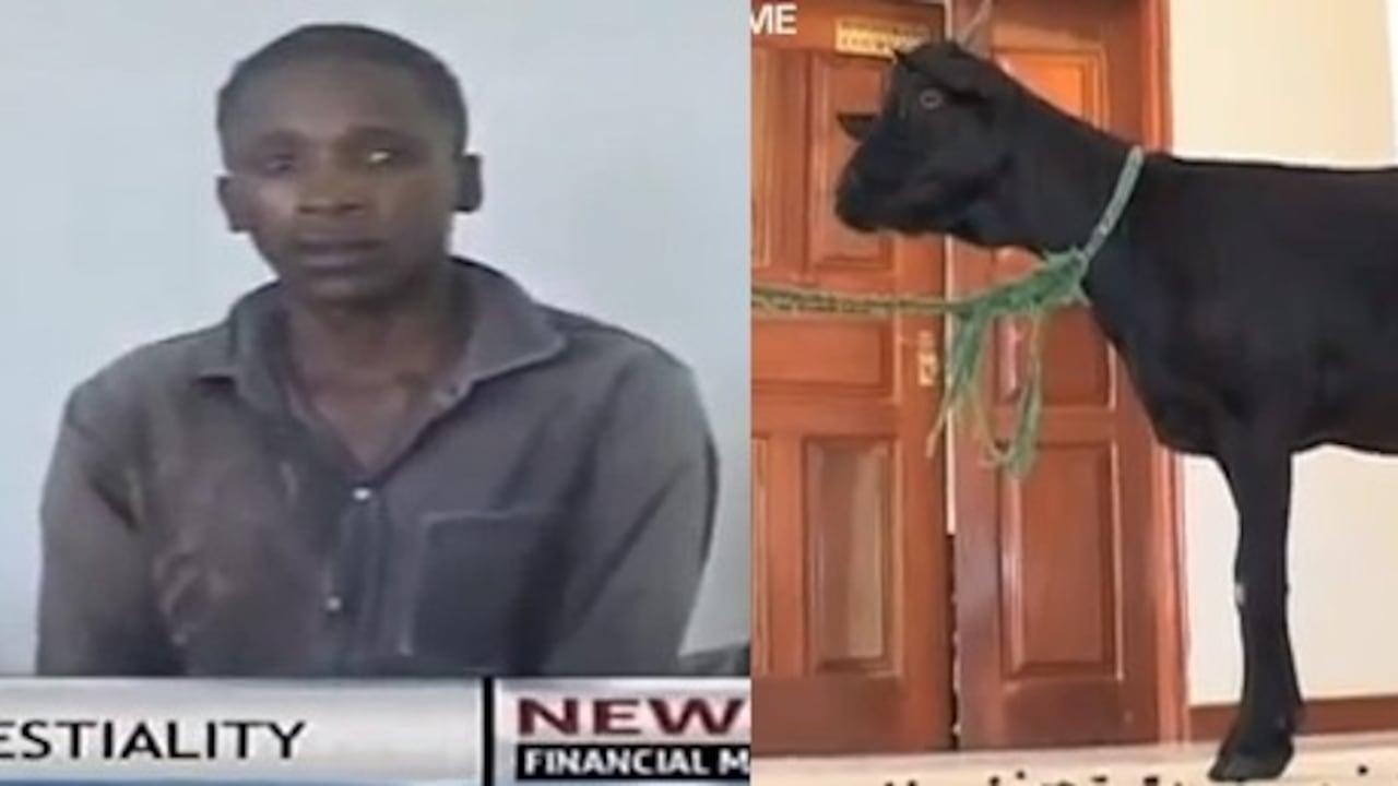 Izquierda: Katana Kitsao Gona.